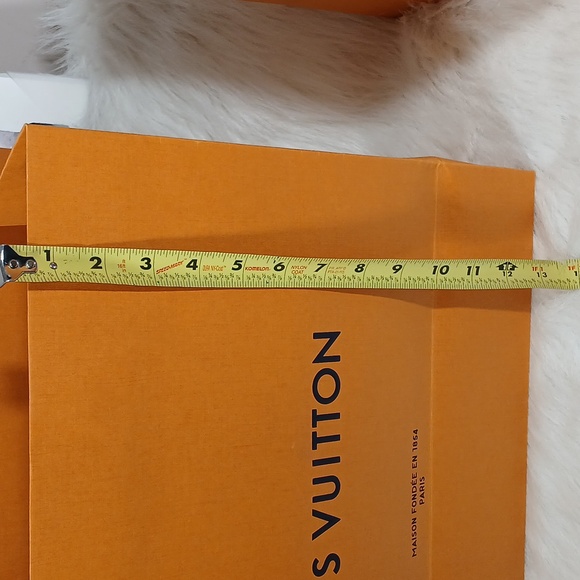 Louis Vuitton Orange Bag and Box Unisex - Picture 5 of 15